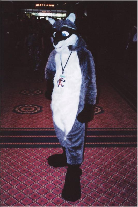 [Furbo_AC2003_019.jpg]