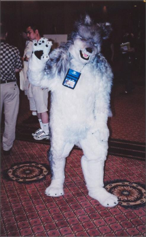 [Furbo_AC2003_021.jpg]