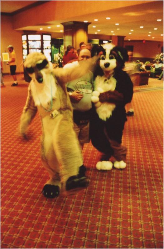 [Furbo_AC2003_022.jpg]