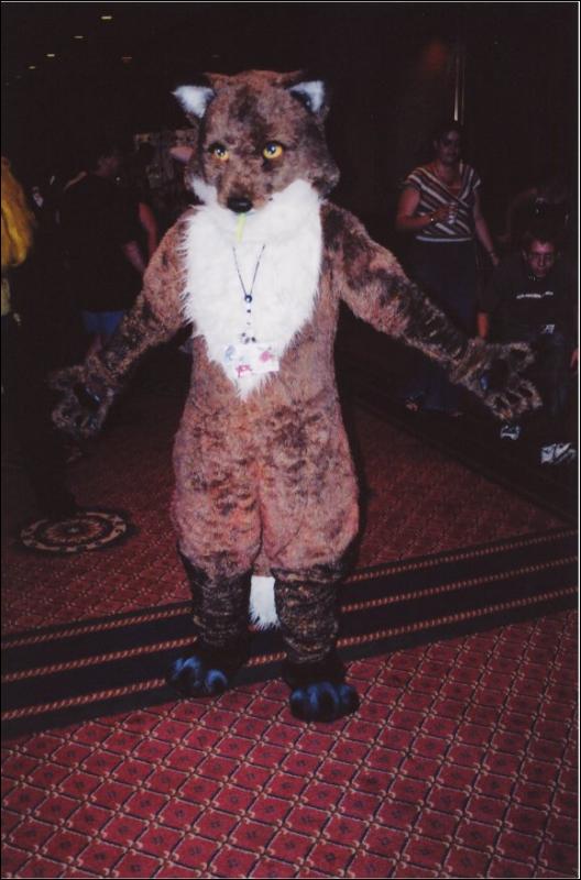 [Furbo_AC2003_026.jpg]