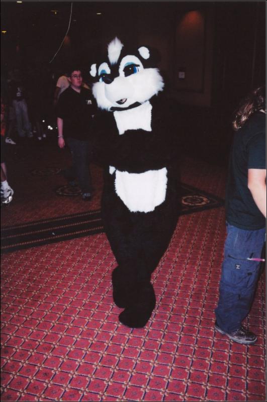 [Furbo_AC2003_027.jpg]