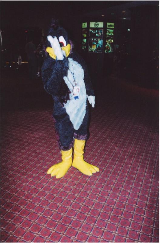 [Furbo_AC2003_039.jpg]