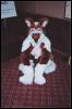 [Furbo AC2003 040]