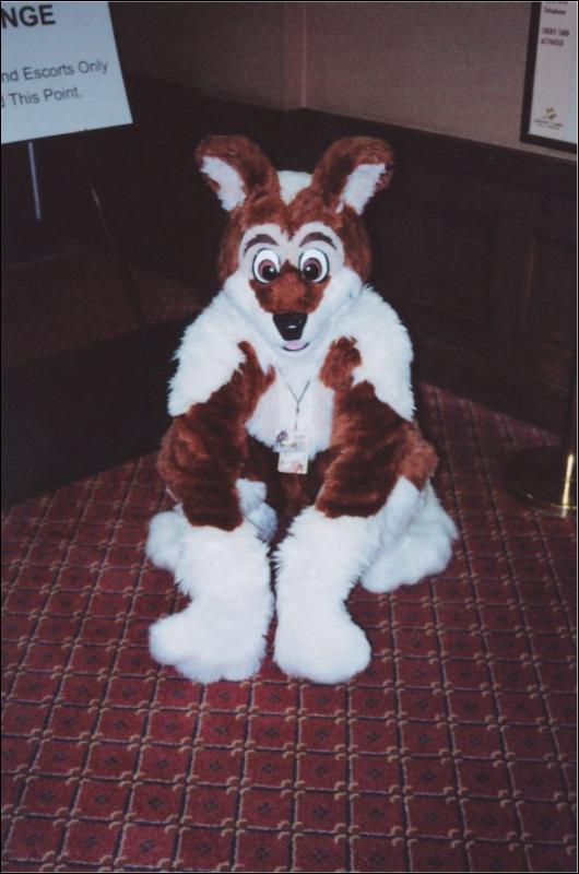 [Furbo_AC2003_040.jpg]