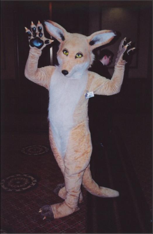 [Furbo_AC2003_042.jpg]