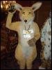 [TonyRingtail AC2003 03]