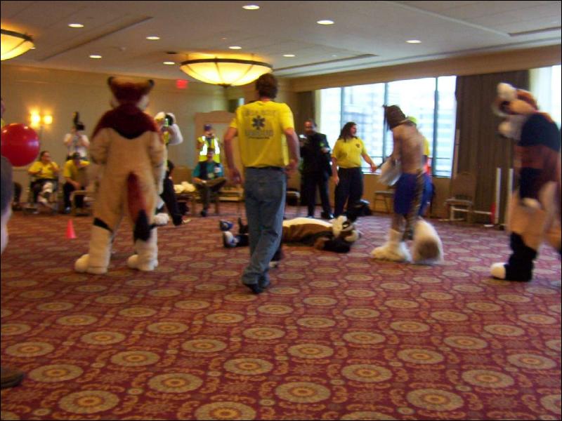 [BungeeSkunk_AC2005_372.jpg]