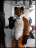 [FinnishFox AC2007 044]