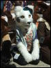 [BrownWolf CaF2009 046]