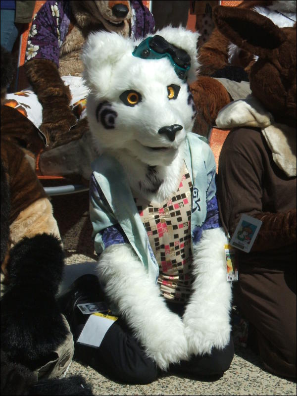 [BrownWolf_CaF2009_046.jpg]