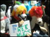 [BrownWolf CaF2009 050]