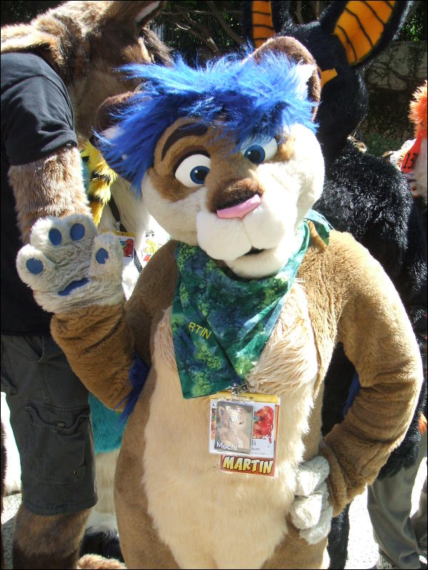 [BrownWolf_CaF2009_054.jpg]