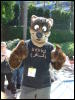 [BrownWolf CaF2009 056]