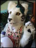 [BrownWolf CaF2009 059]