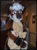 [BrownWolf CaF2009 073]