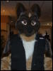 [BrownWolf CaF2009 074]