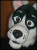 [BrownWolf CaF2009 079]