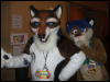 [BrownWolf CaF2009 086]