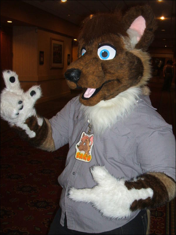 [BrownWolf_CaF2009_089.jpg]