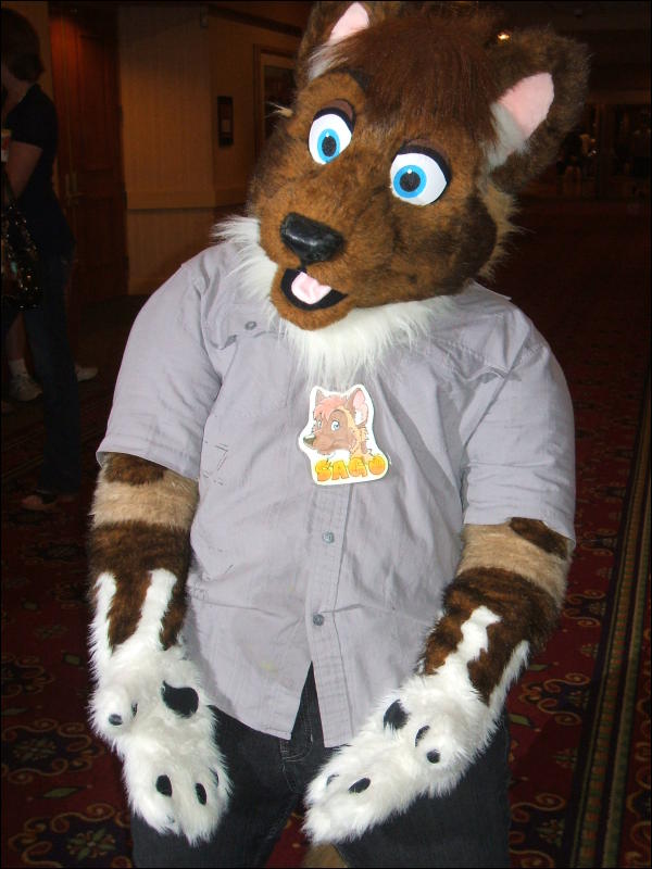 [BrownWolf_CaF2009_090.jpg]