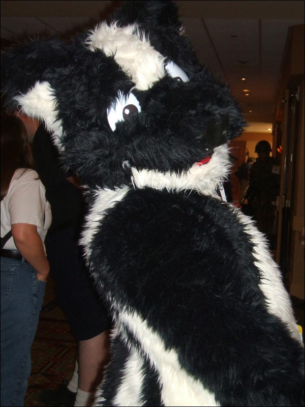 [BrownWolf_CaF2009_100.jpg]