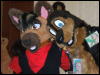 [BrownWolf CaF2009 102]