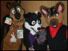 [BrownWolf CaF2009 103]