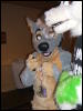 [BrownWolf CaF2009 107]