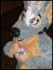 [BrownWolf CaF2009 109]