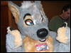 [BrownWolf CaF2009 113]