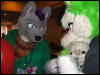 [BrownWolf CaF2009 119]