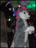 [Mikepaws Confuzzled2008 177]