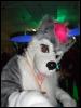 [Mikepaws Confuzzled2008 178]