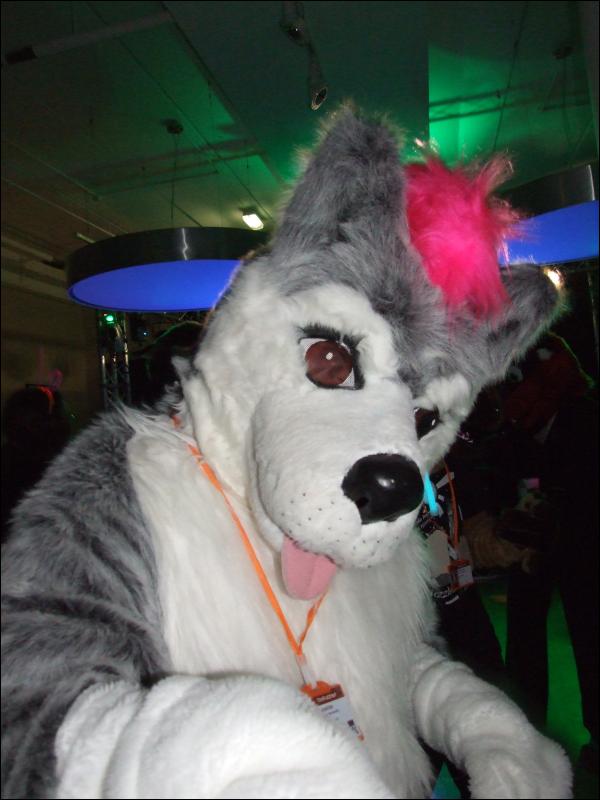 [Mikepaws_Confuzzled2008_178.jpg]