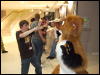 [Mikepaws Confuzzled2008 093]