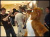 [Mikepaws Confuzzled2008 094]