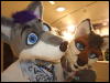 [Mikepaws Confuzzled2008 144]