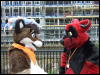 [Mikepaws Confuzzled2008 251]