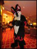 [Devilwuff CF2011 028]