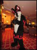 [Devilwuff CF2011 030]