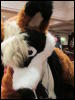 [Devilwuff CF2011 037]