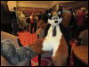 [Devilwuff CF2011 042]