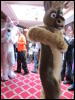 [Devilwuff CF2011 139]