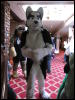 [Devilwuff CF2011 151]