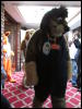 [Devilwuff CF2011 152]