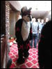 [Devilwuff CF2011 193]