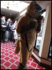 [Devilwuff CF2011 206]