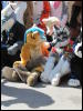 [Devilwuff CF2011 240]