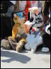 [Devilwuff CF2011 241]