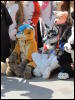 [Devilwuff CF2011 242]